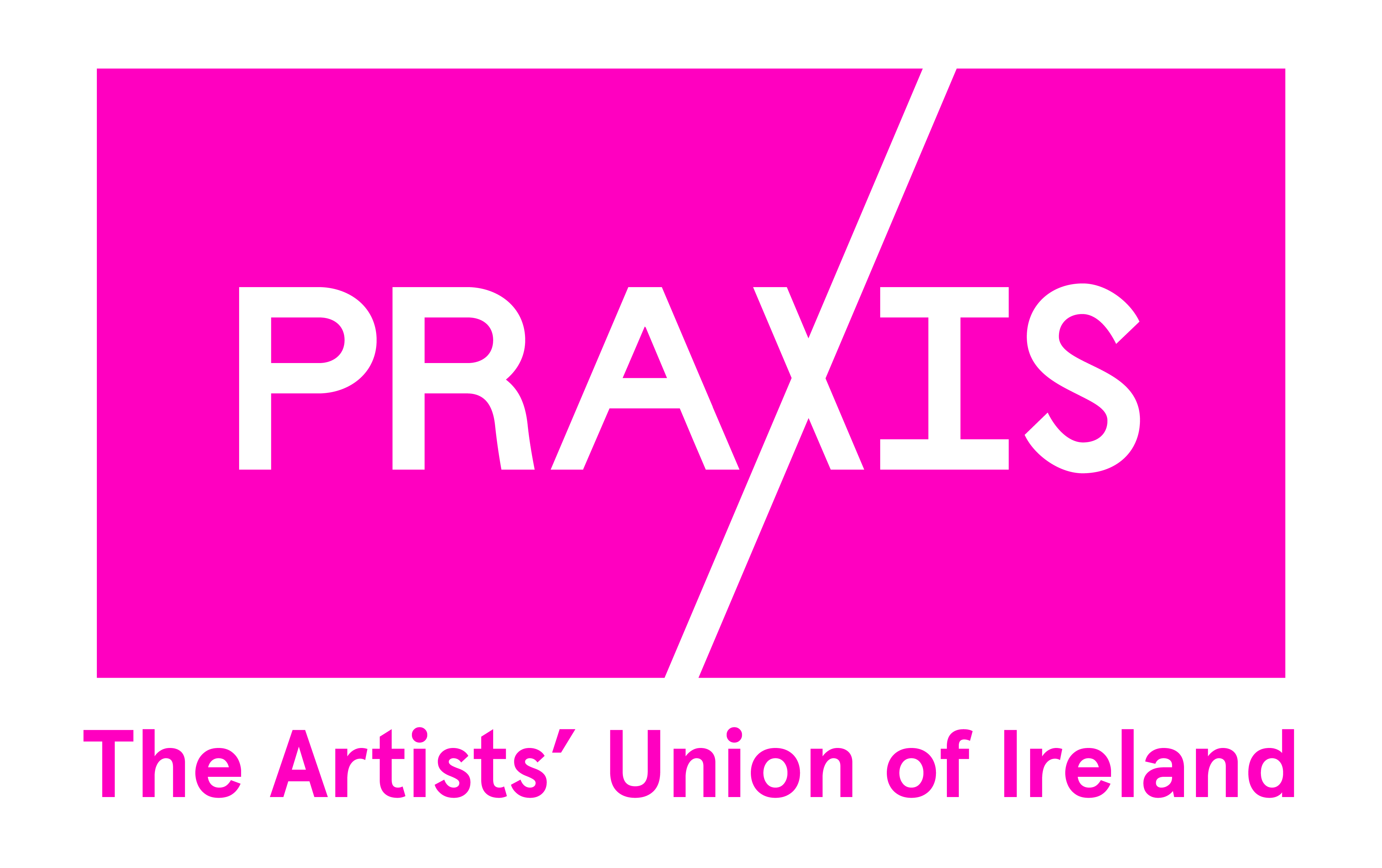 Praxis Statement on the undelivered overhaul of the Arts Council IT ...